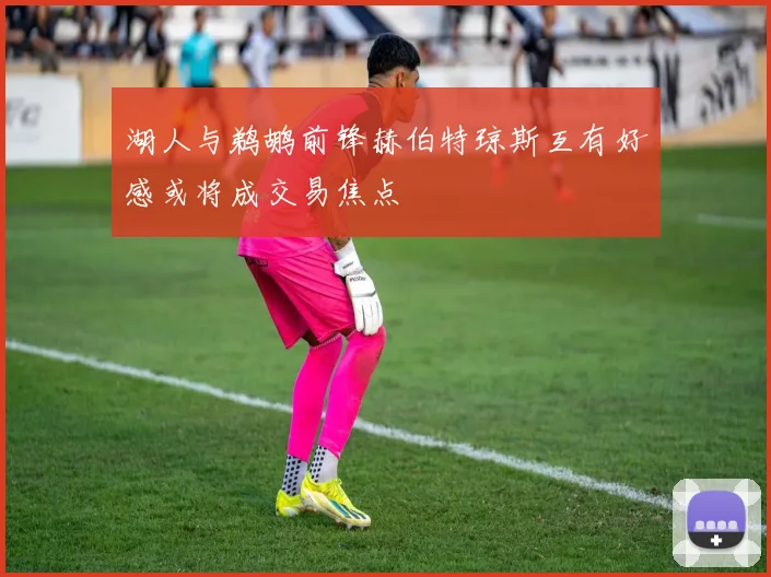 湖人与鹈鹕前锋赫伯特琼斯互有好感或将成交易焦点