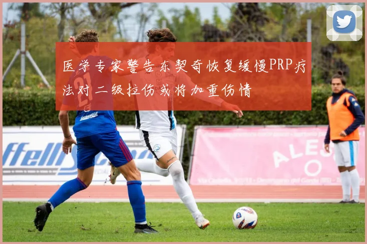 医学专家警告东契奇恢复缓慢PRP疗法对二级拉伤或将加重伤情
